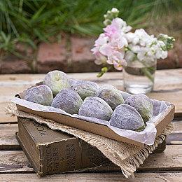 中村育美工作室Unseen注册新商标“Kemuri”